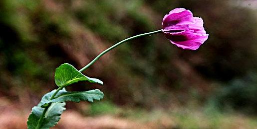 《魔咒之地》PS5 DualSense特性预告 更强的沉浸感